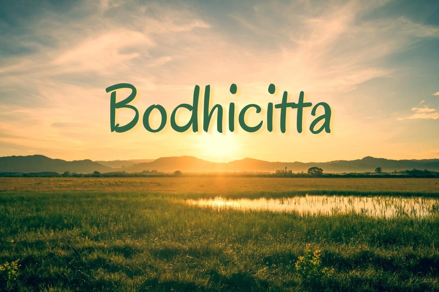 Odoo image and text block