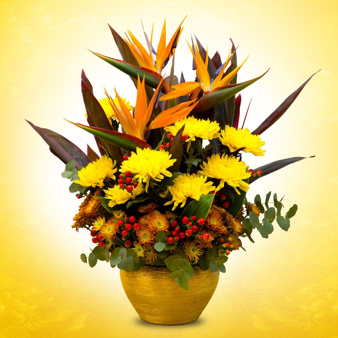 Odoo - Sample 1 for three columns