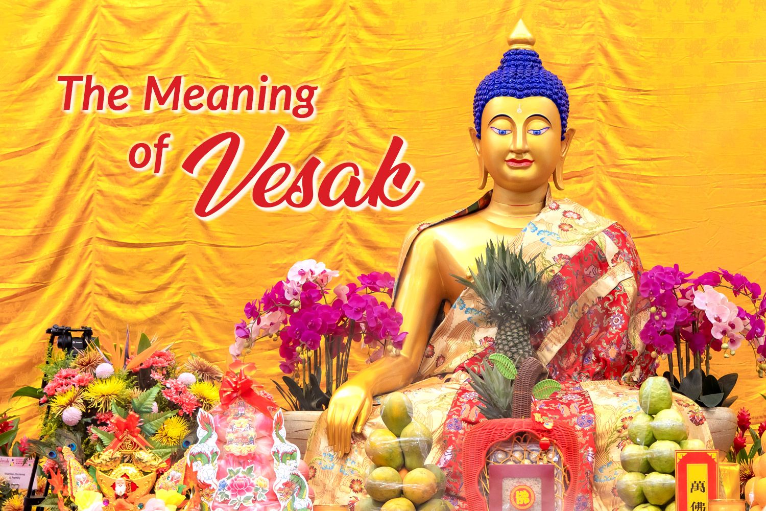 Odoo image and text block