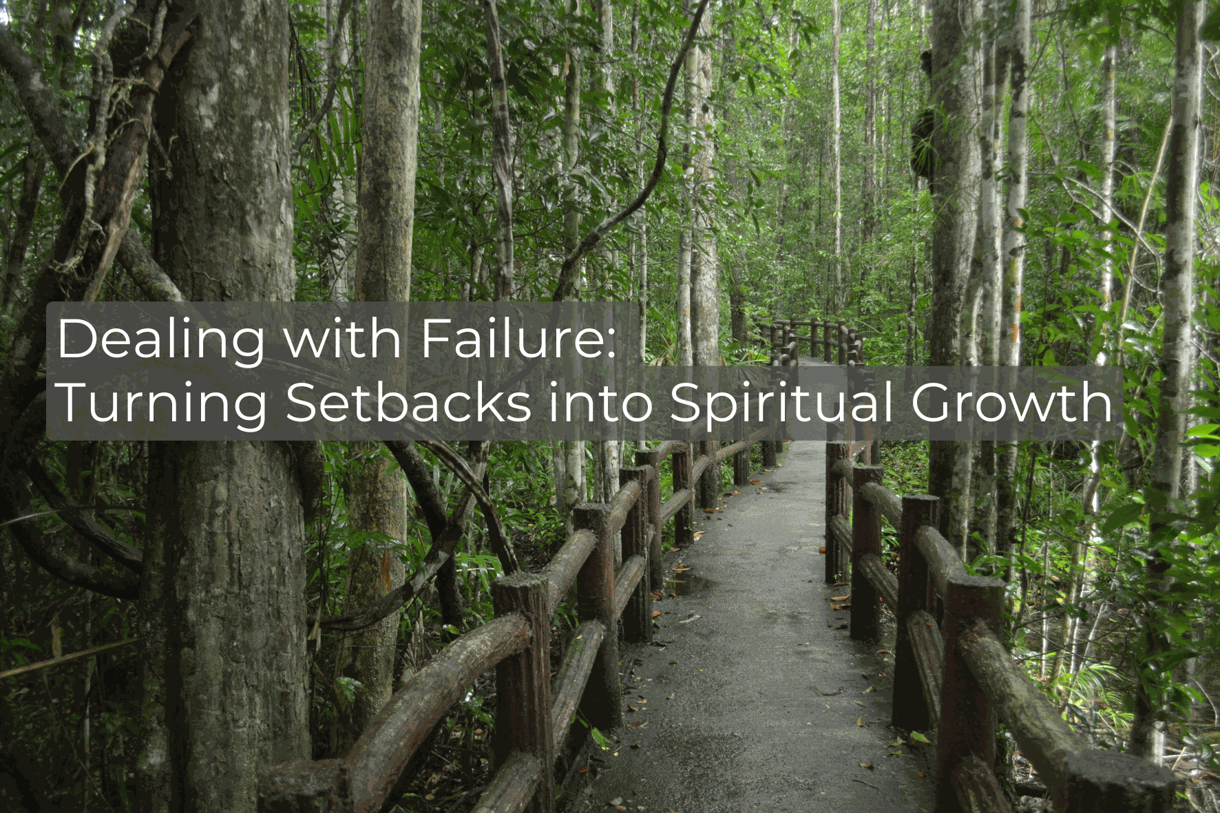 Odoo image and text block